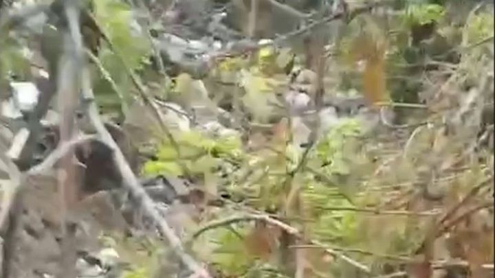 ��� ����� �������� ������ � ���������