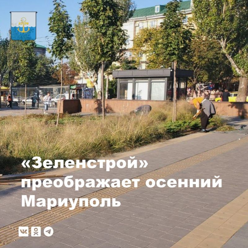 � ��������� ��������������� ������� � ������������ ��������