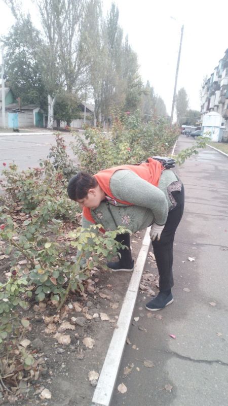 ���� �����������: �������, 19 ��������, ������ ������������ ����������� ���� ��������� ������ �� ��������� ������� � ������� �� ���������� �. �������: