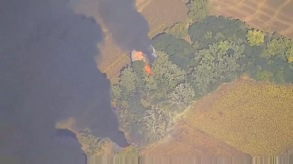 ������� ���������: ����� ����������� �������� ������ ������ ��������� ���������� ������������� 35 ������� ������� ������ ��� � ������ ������������� (���)