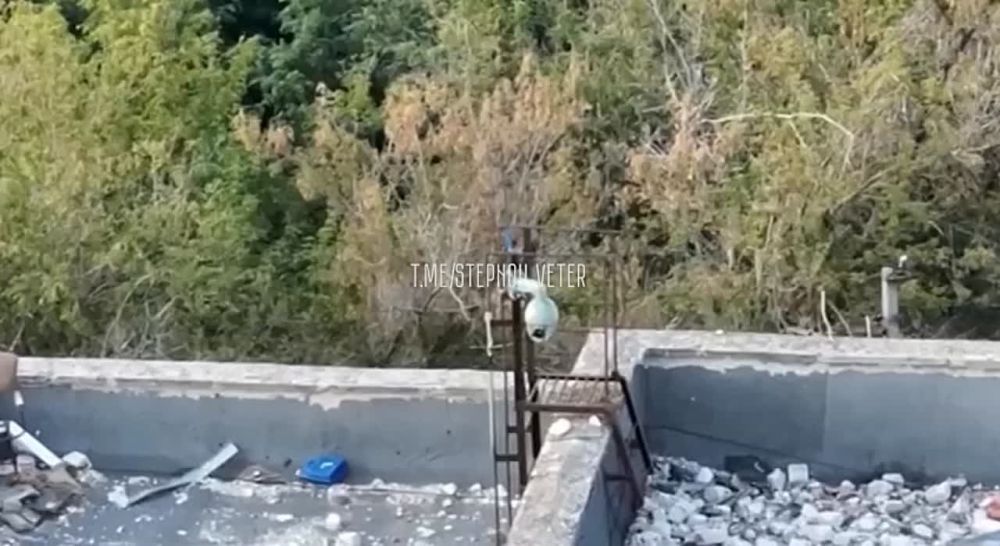 ������� �������: ������� FPV-������� ���������� �������� ���������� ������������ � ��������