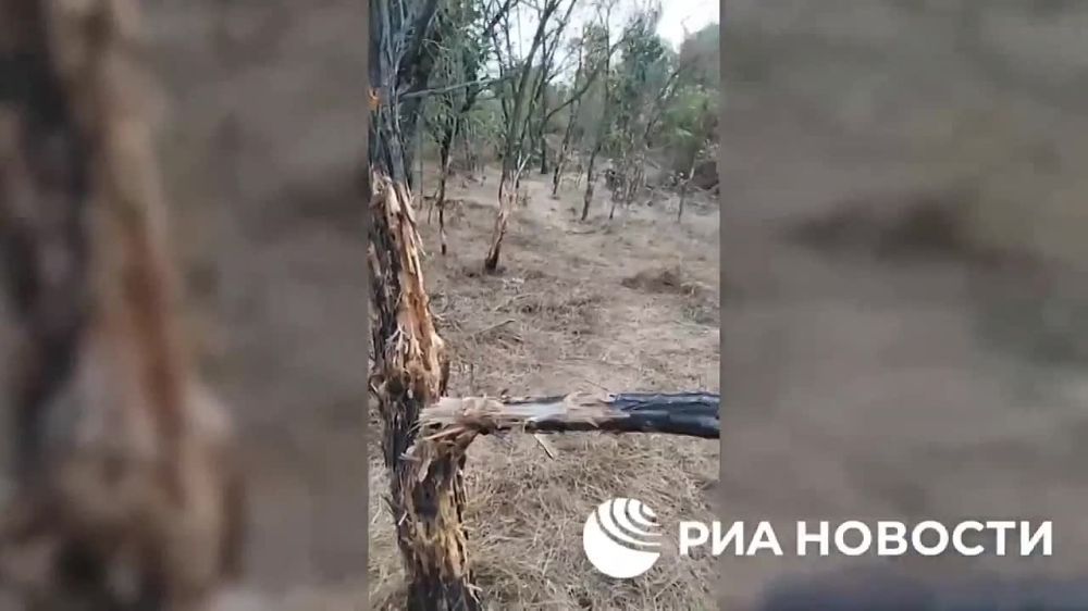 ��������� �������: ����� �������� �������� ��� ������� � ���� � ���. �� ������ � �������������� ��������, ������� ������� ��������