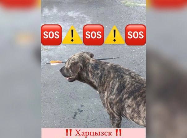 �������� ������: ��������� ������, ������� ������� ������� ��������� � �������� � ������,������ ���������� ������������ ���������� � �������, ������ � �������