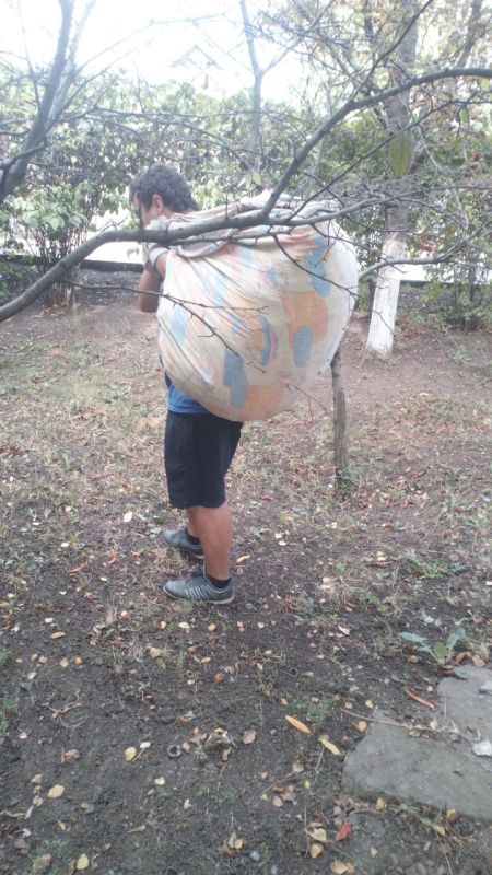 ���� �����������: �������, 21 ��������, ������ ������������ ����������� ���� ��������� ������ �� ��������� ������� � ������� �� ���������� �. �������: