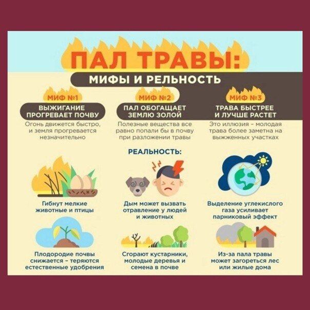 ���� ������: ����� �� ����� ����� � ����� ������������� ������������� ������ �. ������� ����������, ��� ������ ������� ������ � �����