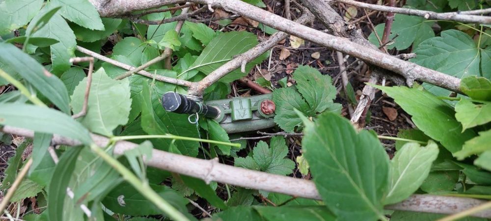 �����-�������� ���� ��. ��������� ���� �������, ��� � ��� ������ ������ � ����!