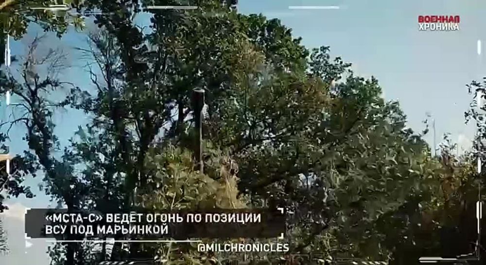 ��������� ��������: 21 �������� � ������� ������������