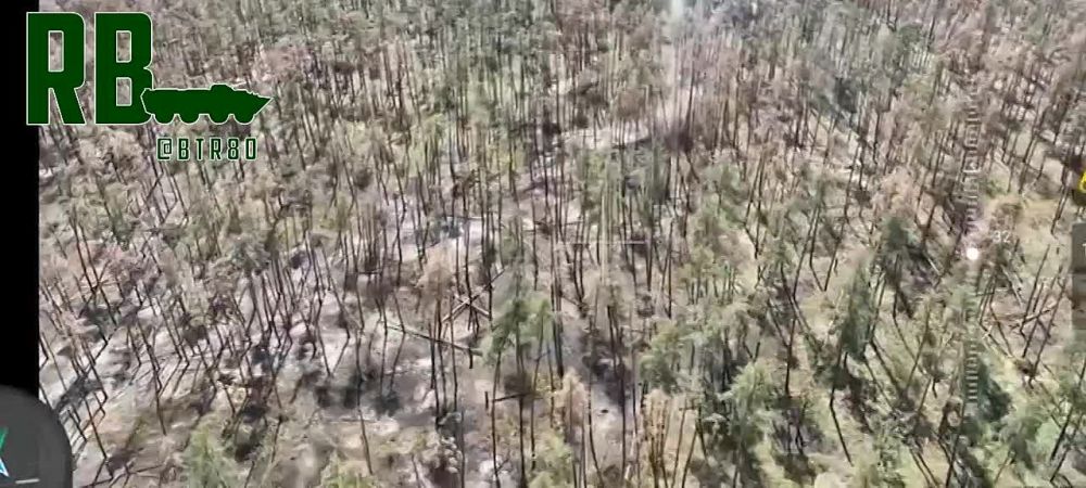 ��� ��� ���������: ������� �������� ����� ����� �� �������� ��� � ������� ������