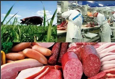 Товары Запорожской области востребованы более чем в 20 странах мира