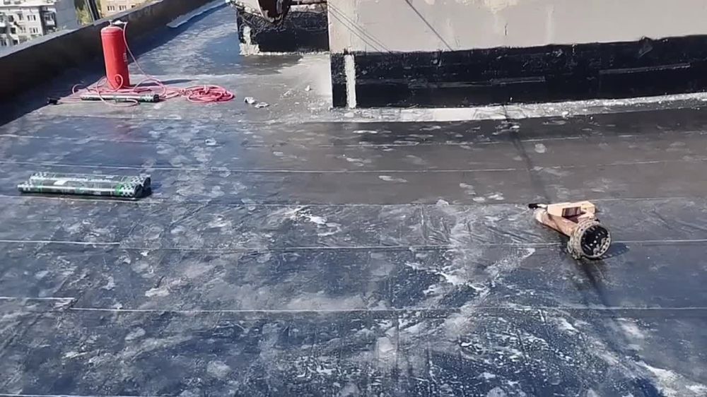 ���������� ������ ���������������� ���� �� ��. ���� 75 ���������� ����� 70%