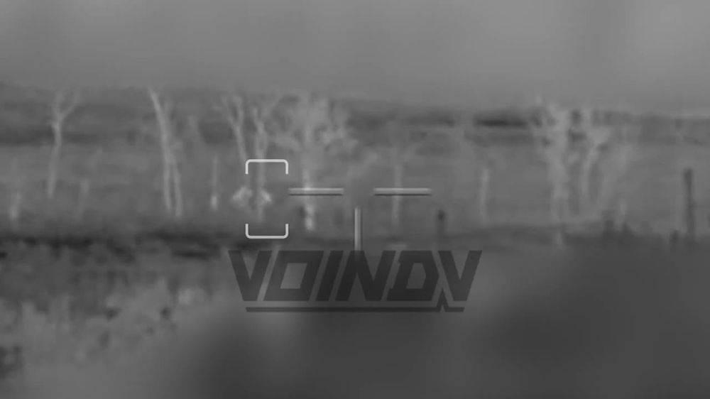 �������� ������ ��������� ������ 155-� ����������� ������� ������� ������ ���������� ���������� ����� ���� ���������� �� ����������� �����������