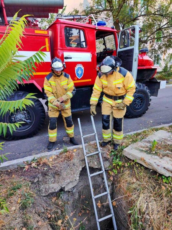 � �������� ��������� ��� �������� �� ��������� ������� ������