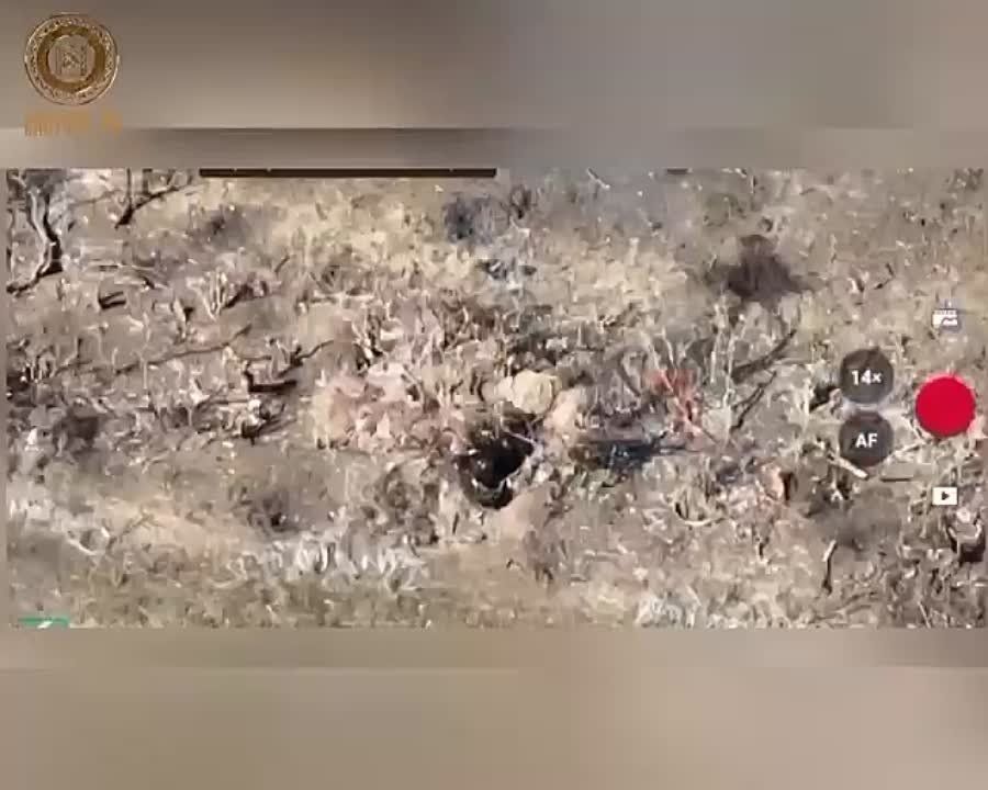 ������ ��������� �������� ������ ���������� �������������� ��� � ���������