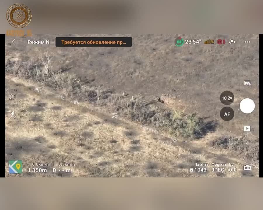 ������� �������: ���������� ����� �� ���� ������������ ����������� �� ������� � ����������