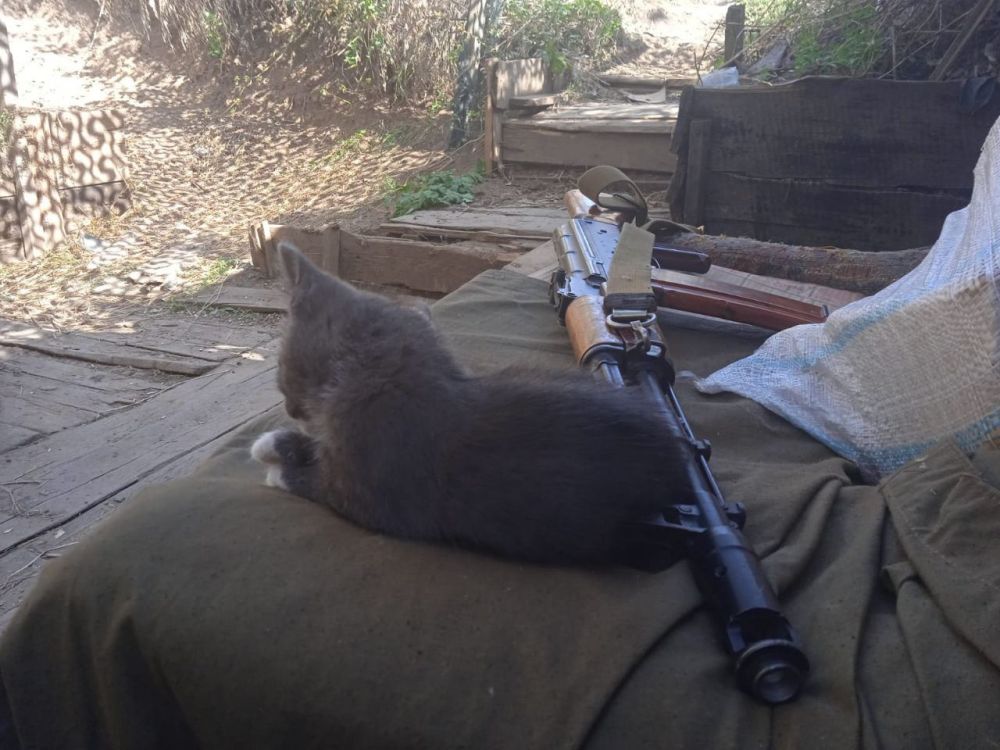 ������� ������: ������ � ������� ��� ���������