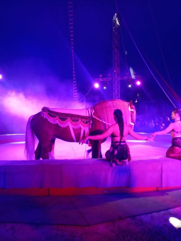 ������ ��������: ��������� ������������ �������� ������, ����������, ������ ��������� ��� ������������ �������� ��� ����������� � ���������� ��������������� ���� �� ����� ������������� � ������� ������� �� ����������� ����������� ��������������