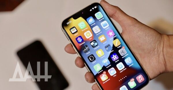 ��� ������ �������� ���������������� � �������� �����������