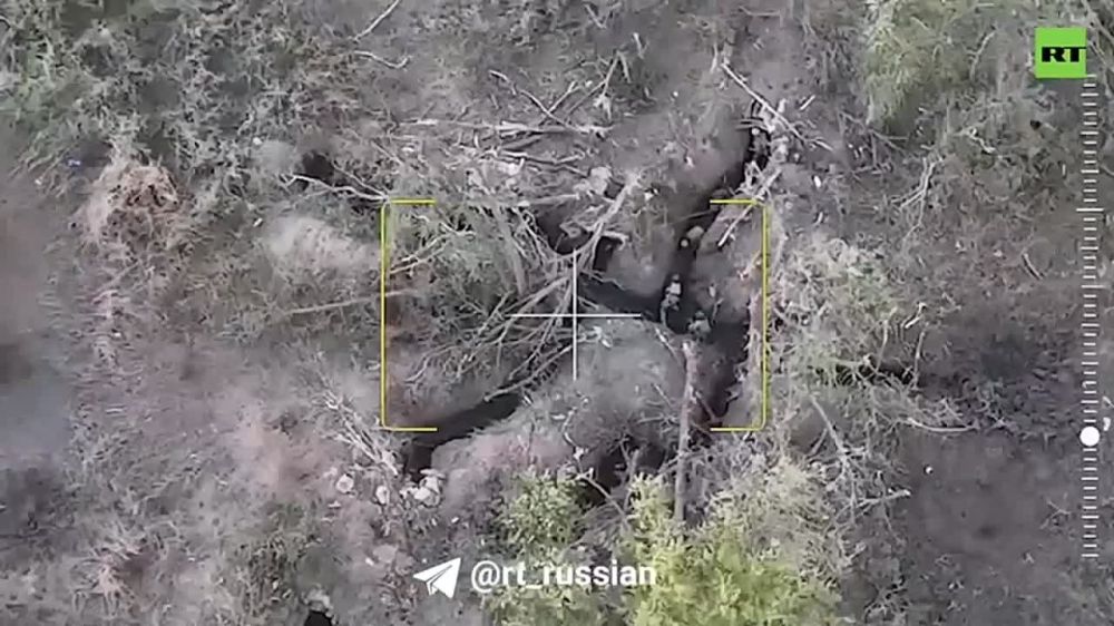 ���������� �������� ������ ���, �� ������� ����� ���������� � ������ ����� ������ ������������ ����� ����������� � �������� �������