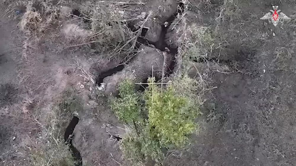 ������� ���������: ������ ���������� ������ �������� ����� ������������� ��� ���������� � ������ ���������� �� ����-�������� �����������