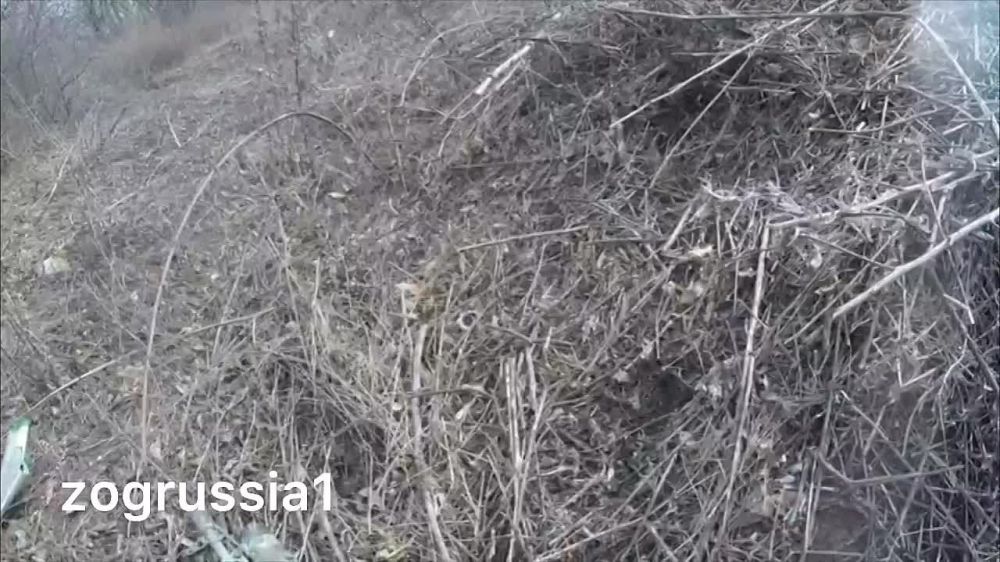 ������ �������: ����� � ��������� ������ ������������� ��������