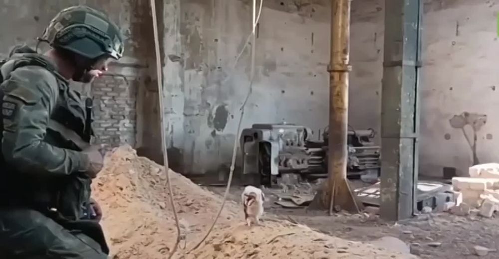 �� ����� ���� � ������ �������� ���������� 42-� ������� ���������� ���� ������� ����
