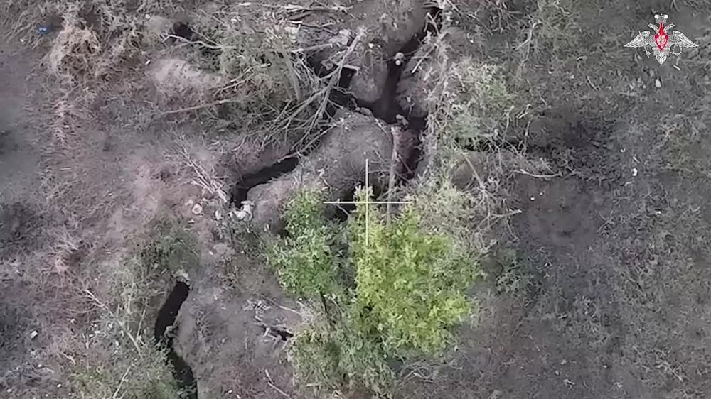 ���� ���������� ������ �������� ����� ������������� ��� ���������� � ������ ���������� �� ����-�������� �����������