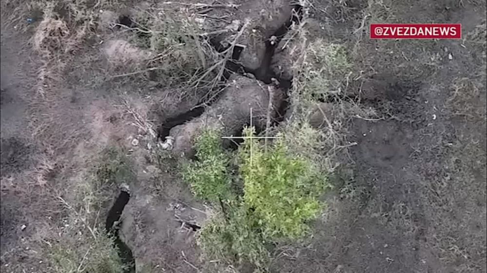 ������ ����� ���������� � ������ ����� ���������� ��������� ������������ ������ ����� ����������� � �������� ��������