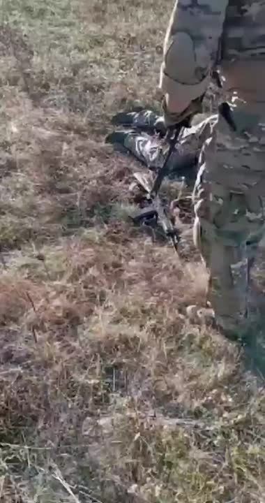 ������ �������: ������������ � ������ �.�. �������� �� �������� ����������� ����� ���������� ����������� ������������