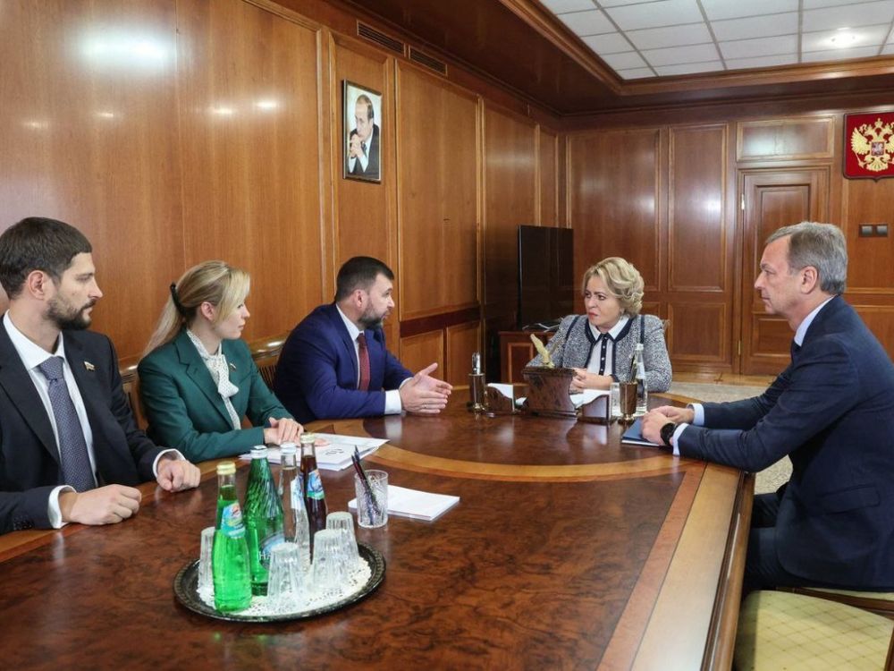Валентина Матвиенко и Денис Пушилин обсудили вопросы развития Республики