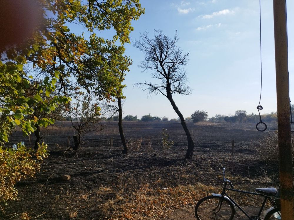 ���� �����������: ������� ���� �� ������� ���� ��� �.�������