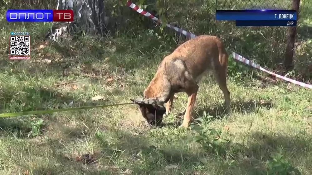 ������-��������� � ����. ��� ��������� ����������� � ���?. ������� ������� ��������� �������� ��� ��� � ������� ��������� �������� ���� ���� � ������� ������. �� ���� ���� �������� ��� �������� �� �����