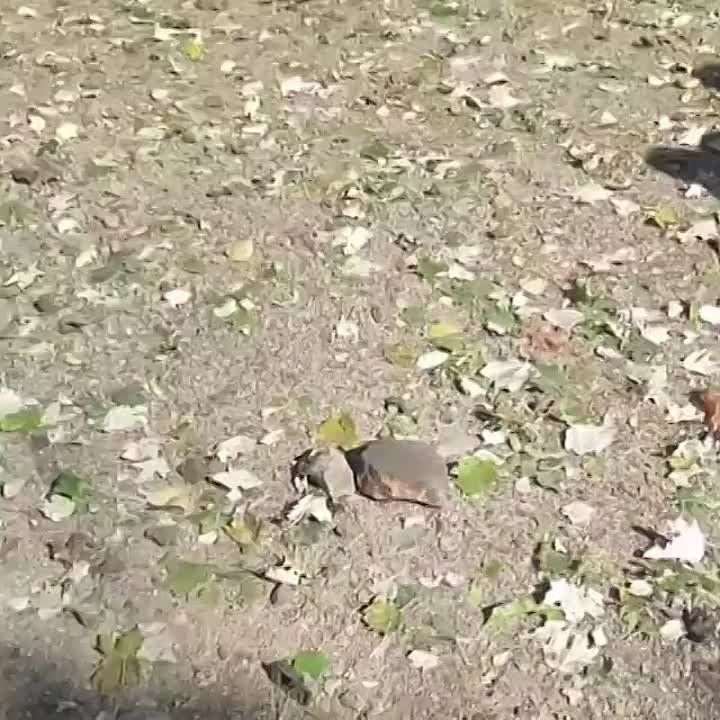 ������������� ���������� ���������� �� ��� ��������� ����������� ����� ��� ������� �������� HIMARS