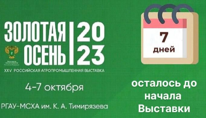 ��� 4 ������� �������� 25-� ���������� ���������������� �������� �������� ����� � 2023�