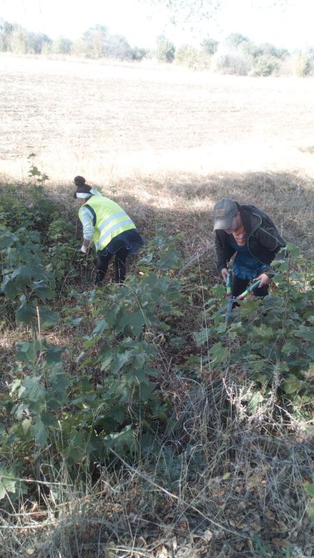 ���� �����������: �������, 27 ��������, ������ ������������ ����������� ���� ��������� ������ �� ��������� ������� � ������� �� ���������� �. �������: