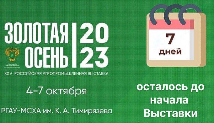 �� �������� �������� XXV ���������� ���������������� �������� "������� ����� - 2023" �������� 7 ����