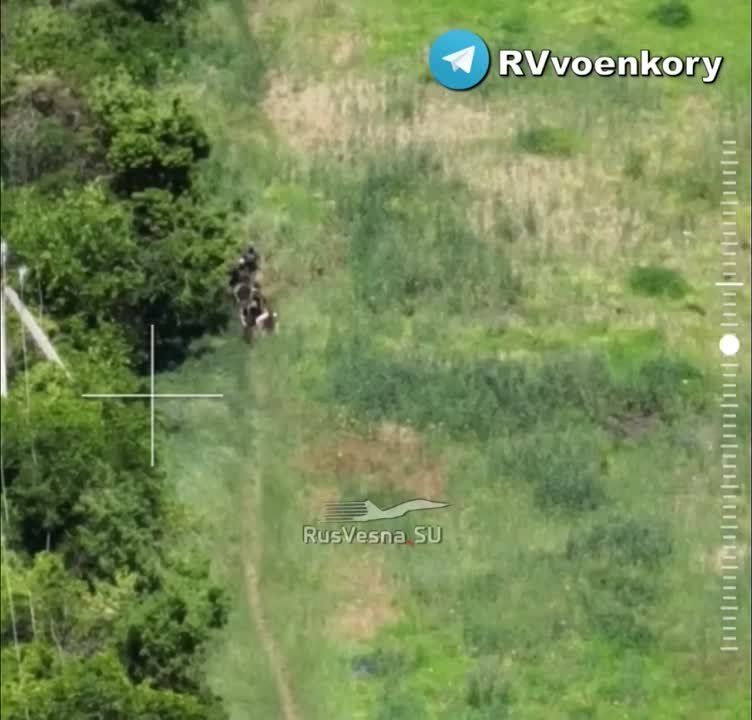 ��������� �������: ����� ��� �� �������� ������ ���������� ����������� ������������ ����������� ������������� � ����������� ��������� �����