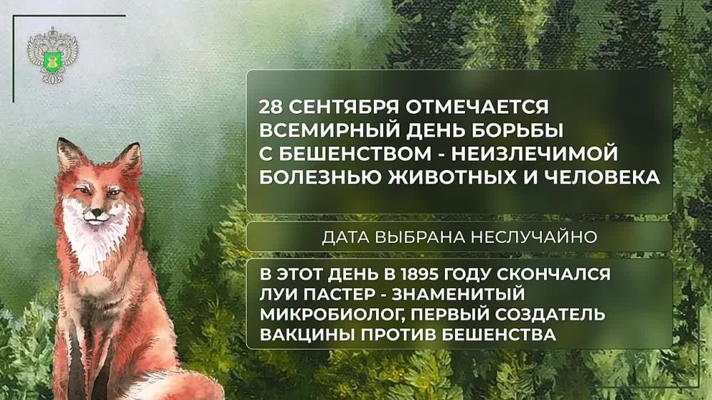 28 �������� ���������� ��������� ���� ������ � ����������
