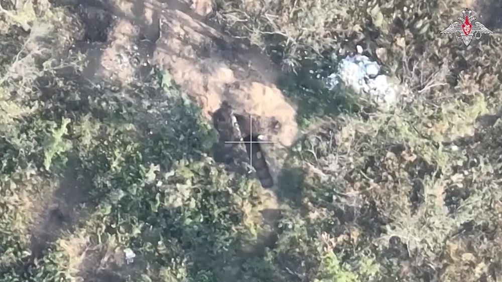 Виталий Киселев: Наши войска громят бронетехнику укрнацистов в районе Северска