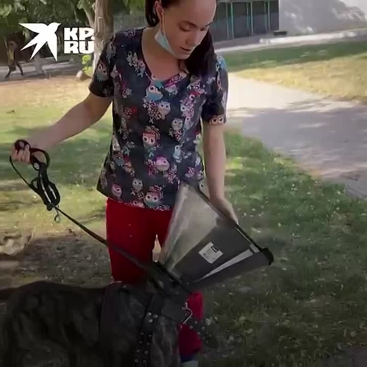 ���, ��� ��� ������ � ����: � ������� �������������� ������, ������� ����� � ��������� �� ������� � ������