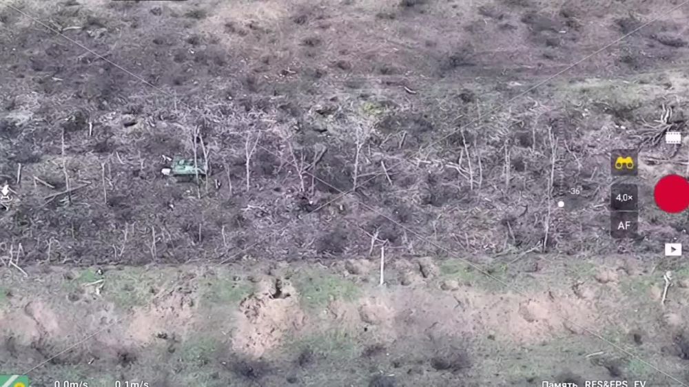 ����� �����: ������ ���� "�����": ������������� ��������������� ���� � ����� ������