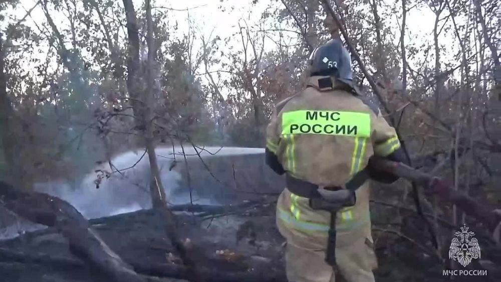 В ДНР огнеборцы МЧС России защитили город от огня