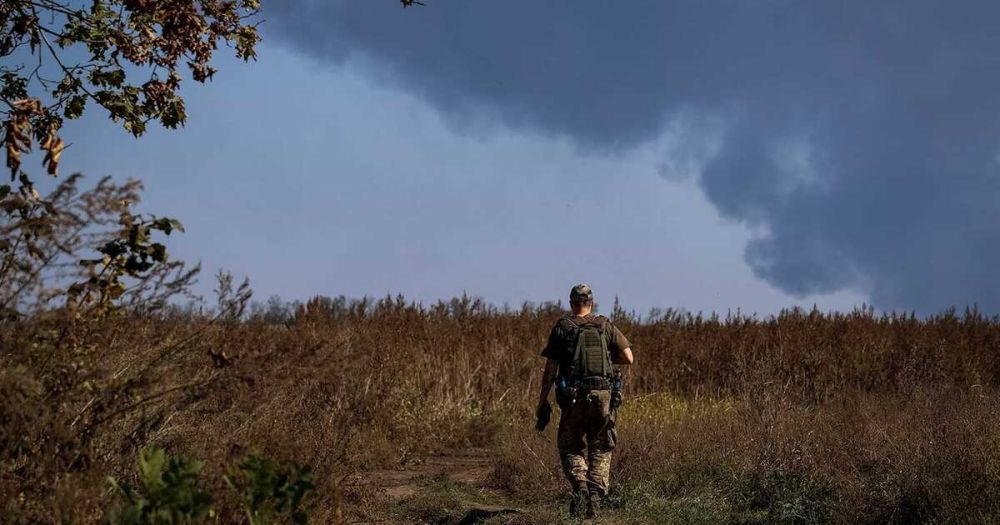 ��� �������� 50 �������� � ������������� ����������� ����� ����� �� ��