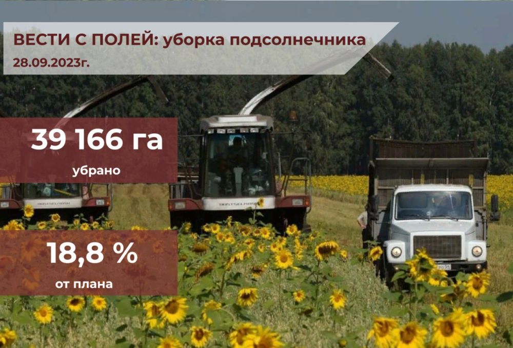 � ��� ������������ ������ ������ 2023 ����