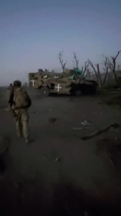 ������������� ��������������� Bushmaster PVM ��� ������������� �� ���� � ������ ���������
