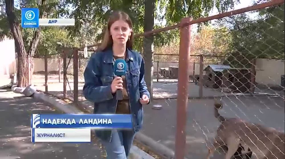 � ���� ��������� � ����� ������