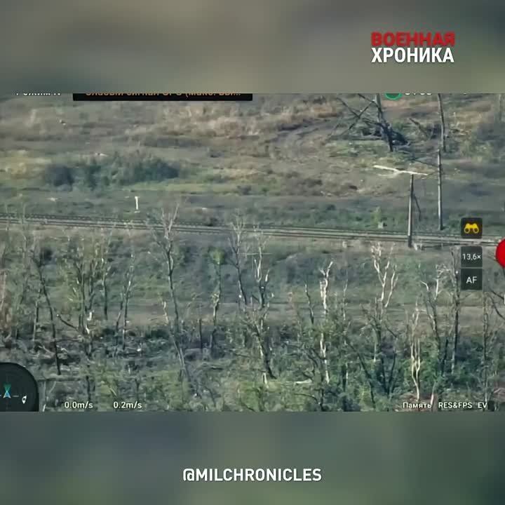 ��� �������� �� ���� ���� 40 ������ ������������ ��� ��������