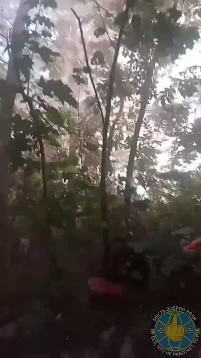 � ������ �������� ����������� ��������� ����������� ��������, ����������������, ����������