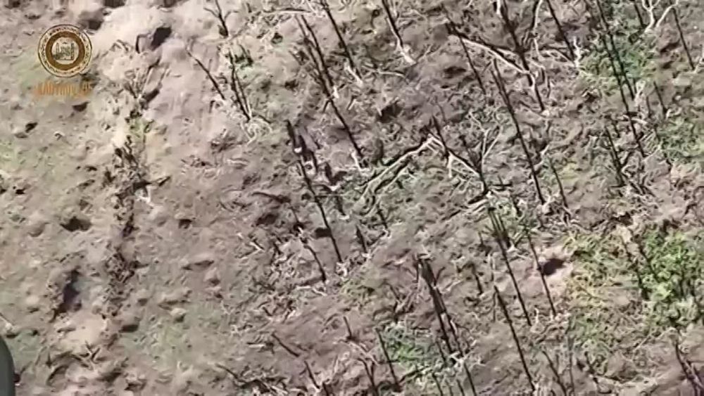 ����� � ���������: ������� � ������ �������� ��� - ������ �����
