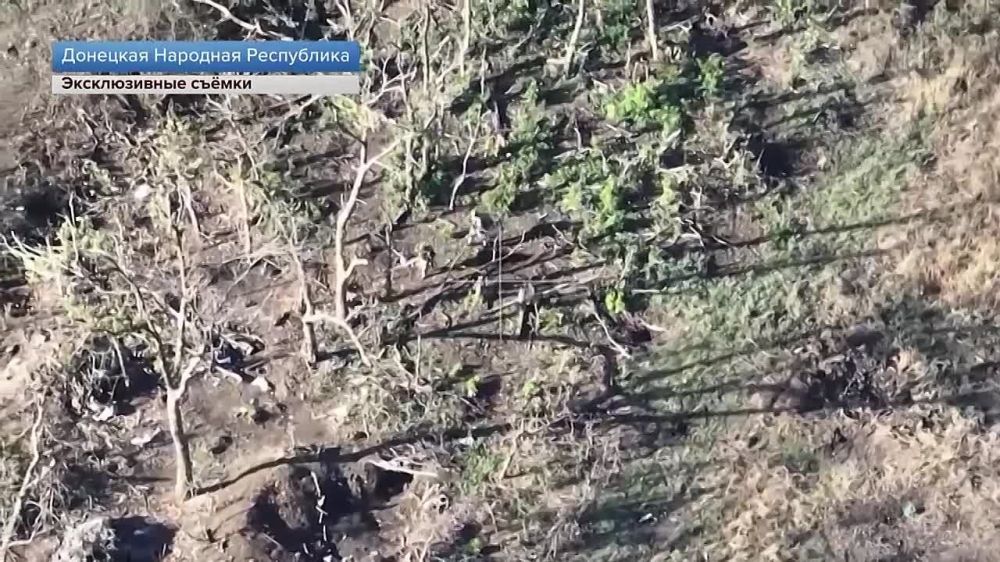 ����� �����: �������� �������� ������� ������