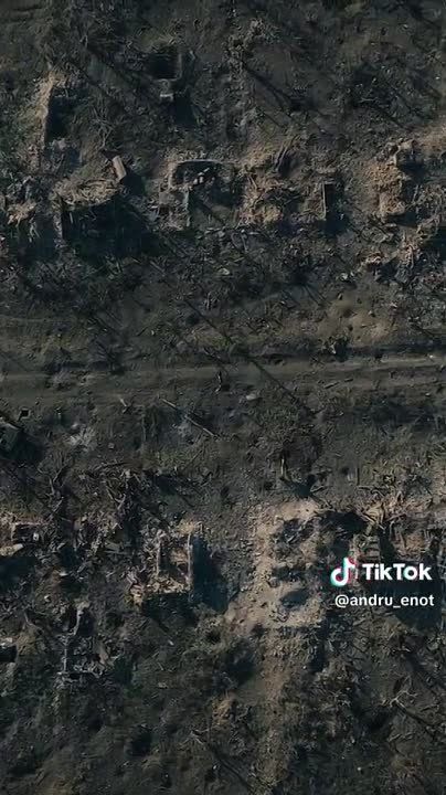 ������ �������: ��� � �������. ������ ������� ����� �������� �� �������� �����������